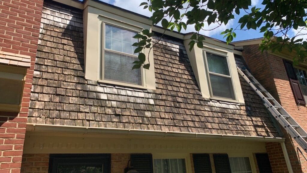 A section of a house exterior with weathered wood shingles and two rectangular windows. The house has brick walls on either side. A metal ladder rests against the right side of the building, reaching up to the roofline, perhaps left from an interior painting job. Nearby tree branches are visible in the foreground.