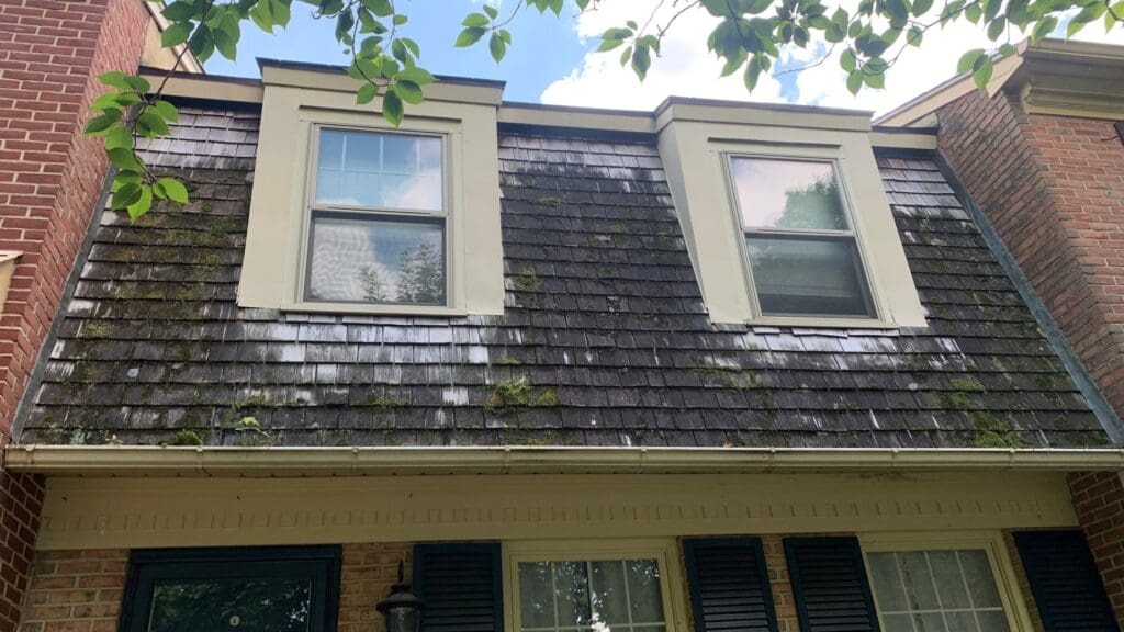 A sloped roof with aged and partially moss-covered shingles on a two-story brick house. The roof features two dormer windows with white frames. Tree branches partially cover the top portion of the image, while the interior painting work inside can be glimpsed through the windows.