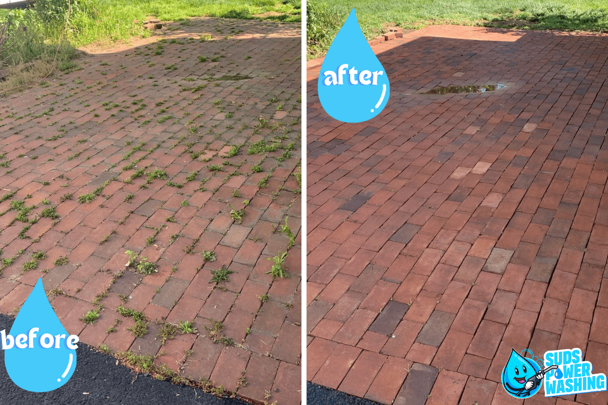 A split image with a "before" and "after" view of a brick pathway. The "before" side shows bricks covered in weeds and dirt, while the "after" side displays a clean, weed-free, and well-maintained brick pathway with a small puddle. Logos read "Suds Power Washing & Davis Painting," showcasing pristine results.