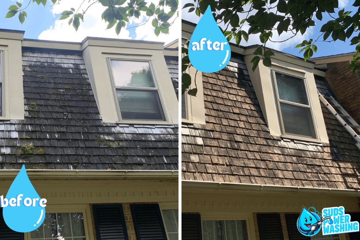 Split image showing a house's roof before and after cleaning by Davis Painting. Left side has moss and grime, labeled "before" with a water drop icon. Right side is clean, labeled "after" with a similar icon. "Suds Power Washing" logo is at the bottom right.