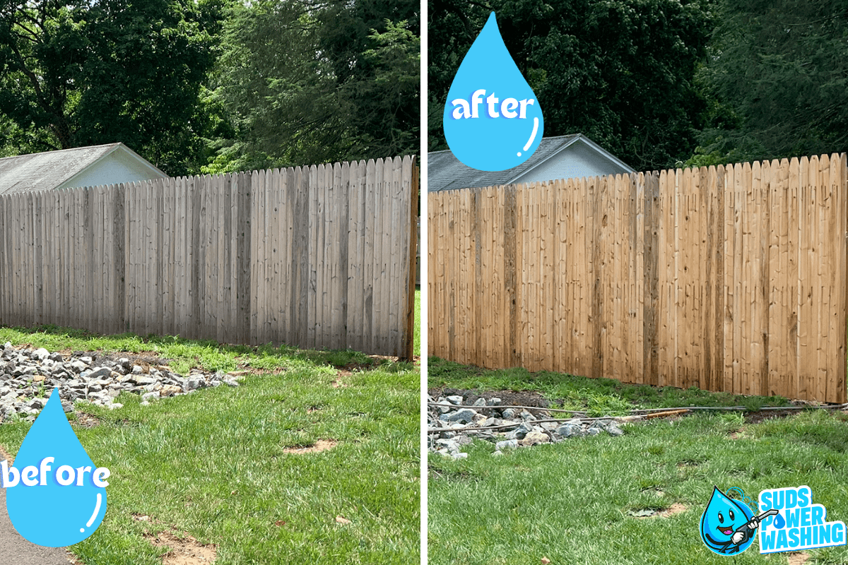 A split image shows sequential views of a wooden fence in a yard. The left side is labeled "before" with a dull and weathered fence, while the right side is labeled "after" showing the same fence, now clean and bright. The bottom right features a joint logo of "Suds Power Washing" and "Davis Painting.