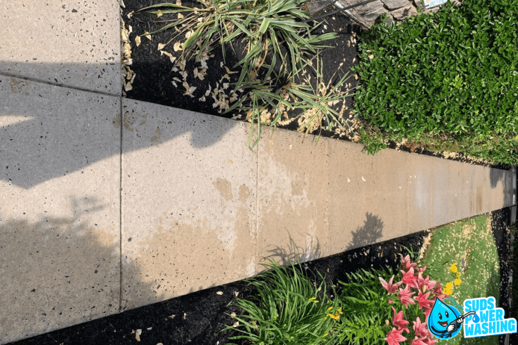 A cleaned and power washed concrete pathway with some water left on it, surrounded by garden beds filled with green bushes, ornamental grass, and pink flowers. A section of composite decking adds a modern touch. The "Suds Power Washing" logo with a smiling water drop character appears at the bottom right corner.