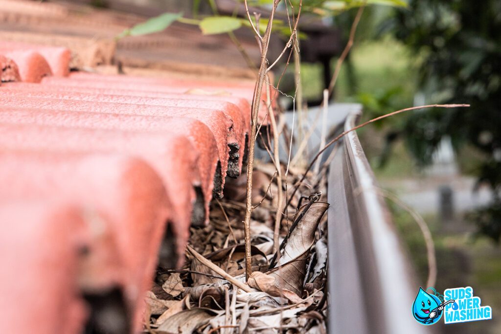 A clogged gutter filled with dry leaves and small branches next to a red tile roof. Vegetation is growing from the debris, showcasing the need for maintenance. The scene is outdoors, with blurred greenery in the background. A blue "Suds Power Washing" logo appears in the bottom right corner, highlighting their residential painting services too.