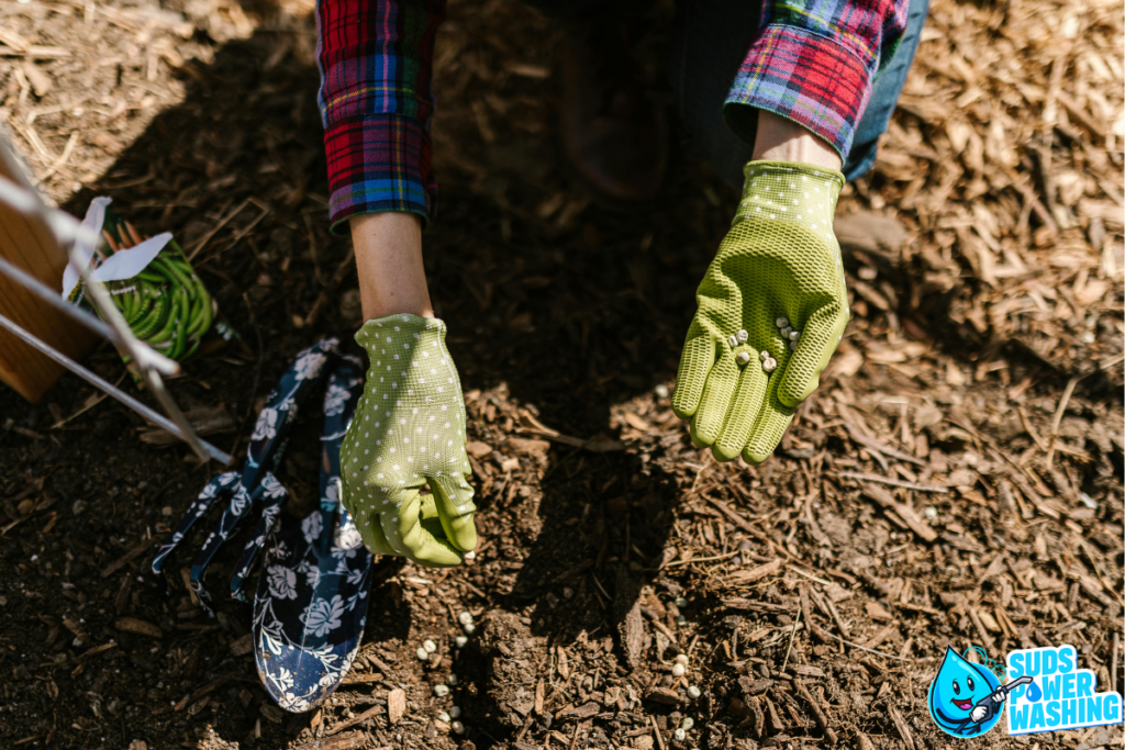 A person wearing green gardening gloves and a plaid long-sleeve shirt crouches down in a garden. They hold small seeds or beans in their gloved hands over soil enriched with surfactants. Gardening tools and a pair of floral-patterned gloves are nearby. A logo in the corner reads "Suds Power Washing.