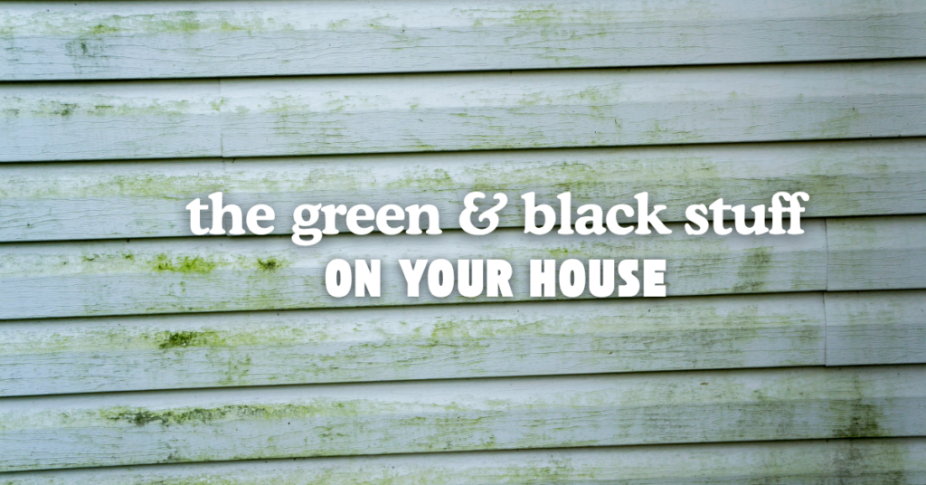 Weathered house siding with green and black stains. Text over the image reads: "the green & black stuff ON YOUR HOUSE.