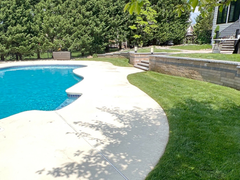 A private backyard with a curved swimming pool, concrete poolside walkway, green lawn, stone retaining wall, and trees in the background shines on a sunny day—thanks to a recent SUDS Power Washing service.